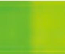 Permanent Green Light Holbein Artists' Oil Color - 20ml