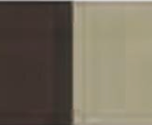 Raw Umber Holbein Artists' Oil Color - 20ml