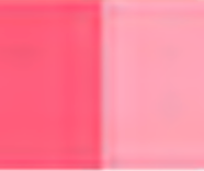 Brilliant Pink Holbein Artists' Oil Color - 20ml