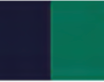 Phthalo Green Holbein Artists' Oil Color - 20ml