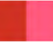 Rose Madder Holbein Artists' Oil Color - 20ml