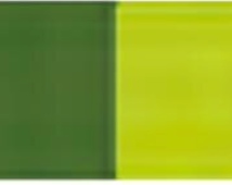 Greenish Yellow Holbein Artists' Oil Color - 20ml