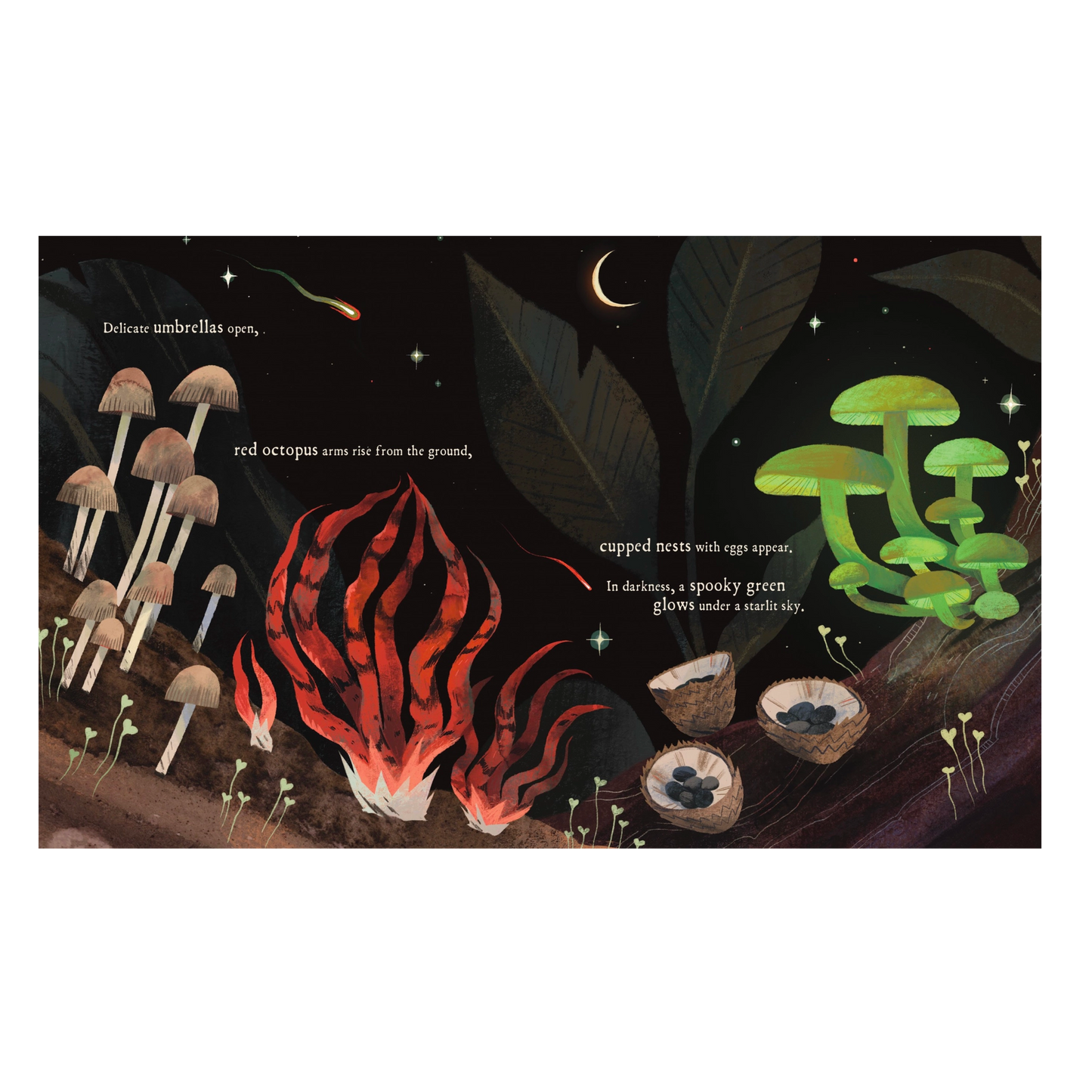 Mushroom Rain Picture Book