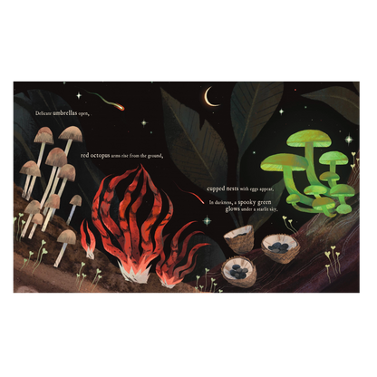 Mushroom Rain Picture Book