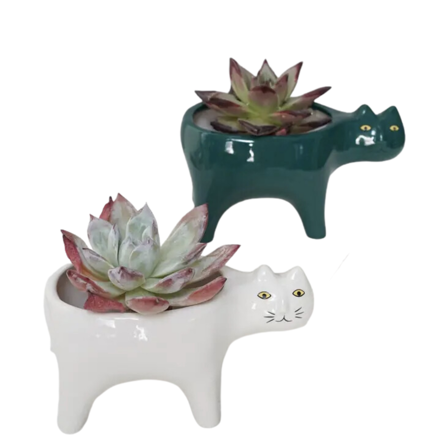 Walking Cat Pot