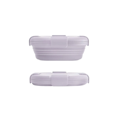 Collapsible Food Storage Box