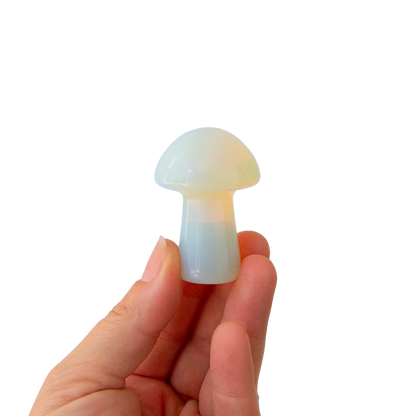 Opal Mushroom