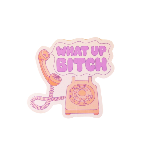 What Up Bitch Sticker