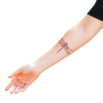 Dragonfly Tattoo Pair
