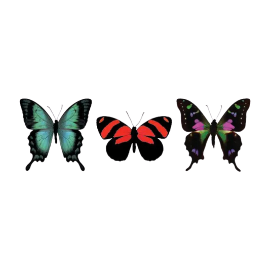 Butterfly Trio Tattoo Pair