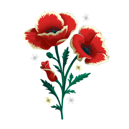 Poppies (Fk) Tattoo Pair