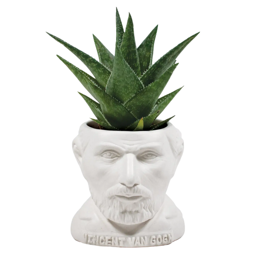 Vincent Van Gogh Planter