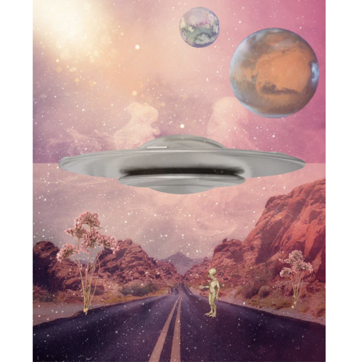 "Extraterrestrial Solitude" A Lost Alien Digital Collage