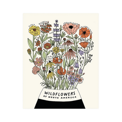 Wildflowers of North America Botanical Print