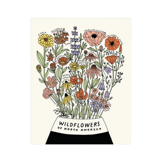 Wildflowers of North America Botanical Print