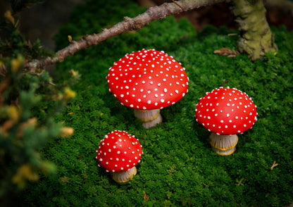 Mushrooms for Garden - Set of 3-  Glow in the Dark
