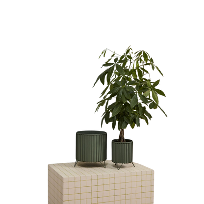 Corum Planter