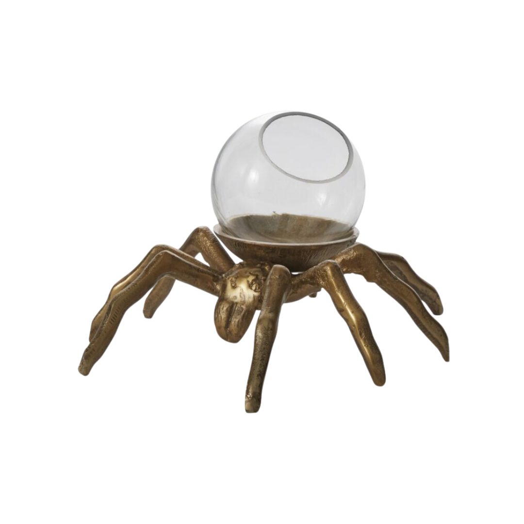 Arachnid Terrarium