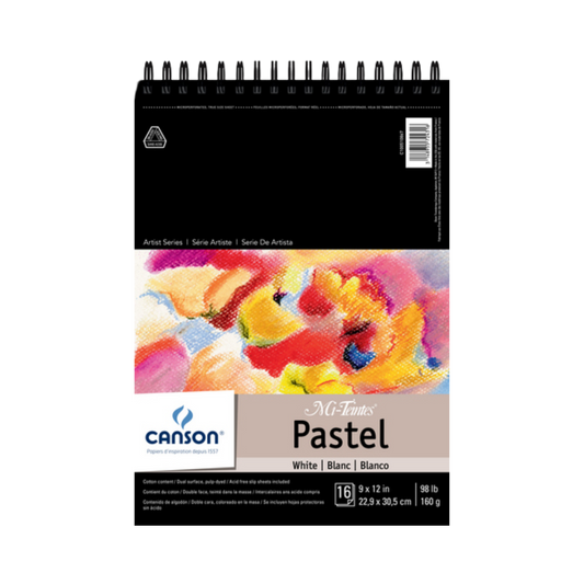 Artist Series Mi-Teintes White / Glassine Pad — 9" × 12"