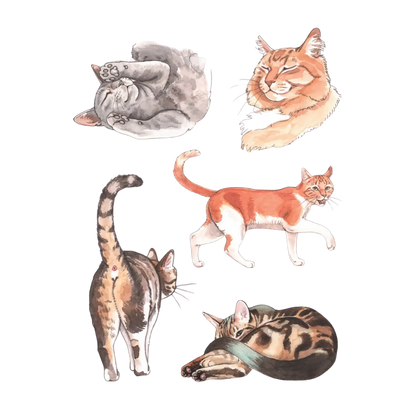 Cat's Meow Sticker Book