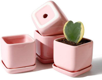 3.5 Inch Square Succulent Pot