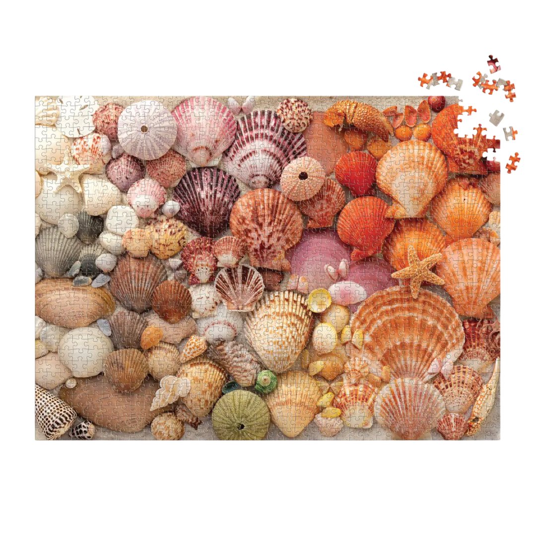 Vibrant Seashells 1000 Piece Puzzle