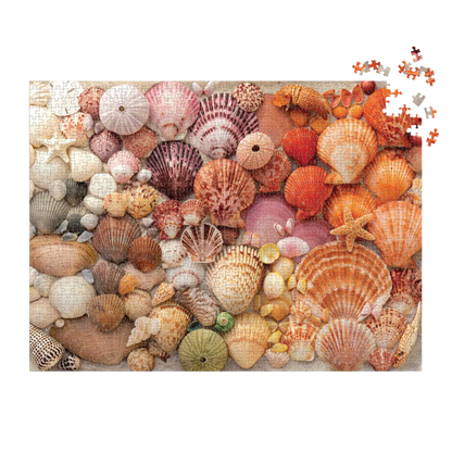 Vibrant Seashells 1000 Piece Puzzle