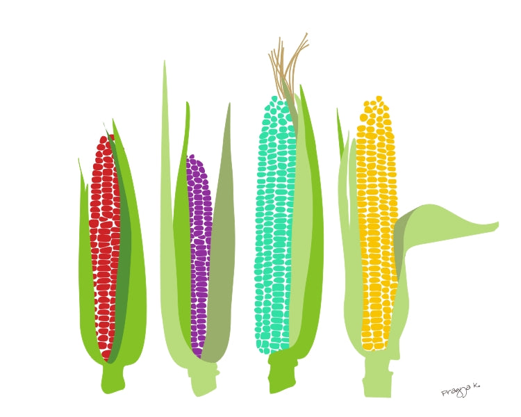 Corn