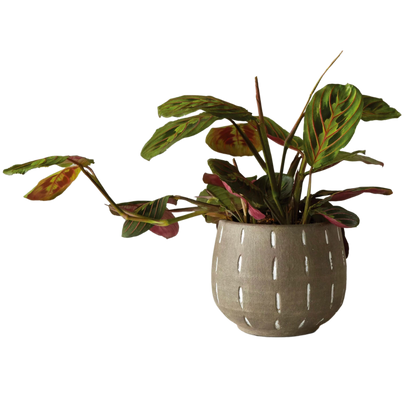 Terracotta Planter with Hand-Painted Lines