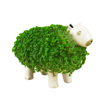 Capybara Chia Planter