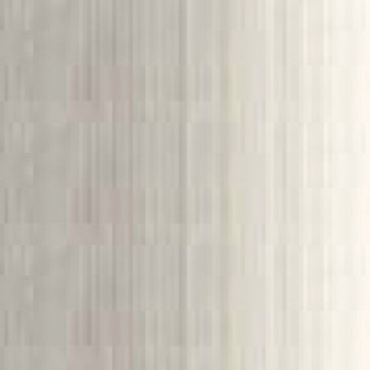 Grey of Grey Holbein Duo Aqua Oil Color 40ML