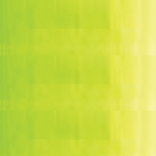 Yellow Green Holbein Duo Aqua Oil Color 40ML