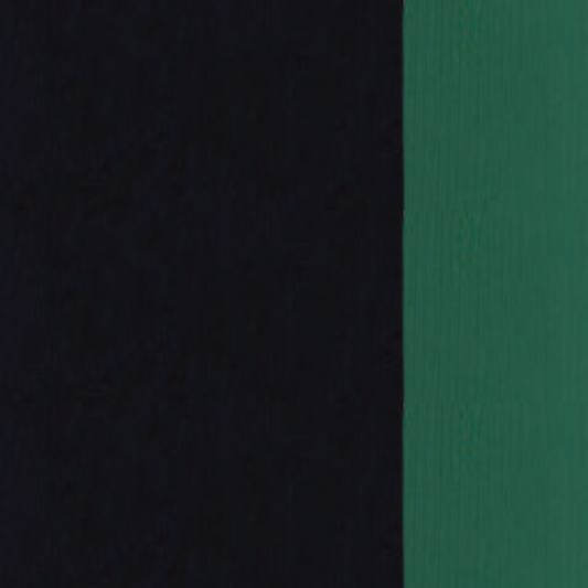 Phthalo Green Holbein Artist Oil Color 40ML