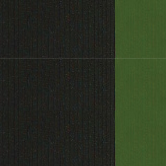 Sap Green Holbein Artist Oil Color 40ML