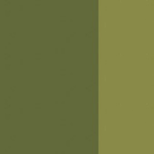 Terre Verte Opaque Holbein Artist Oil Color 40ML