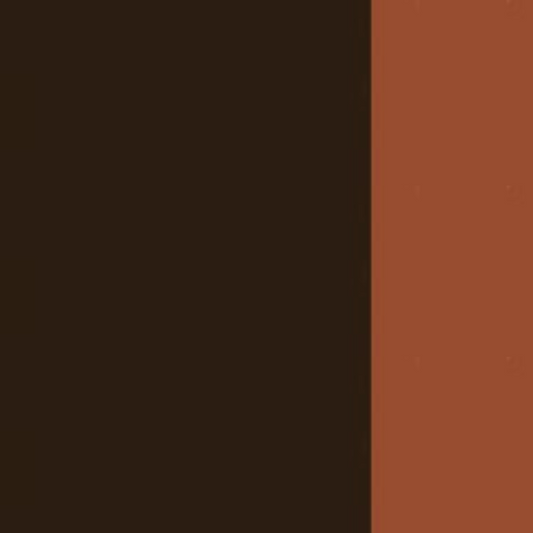 Transparent Brown Oxide Holbein Artist Oil Color 40ML