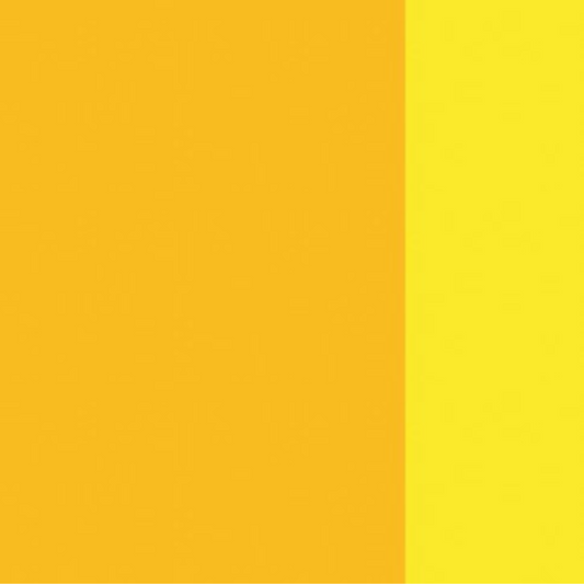 Polyazo Yellow Holbein Artist Oil Color 40ML
