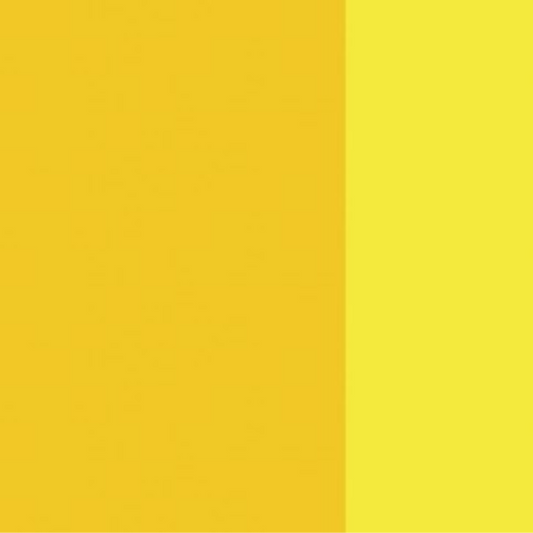Quinophthalone Yellow Holbein Artist Oil Color 40ML