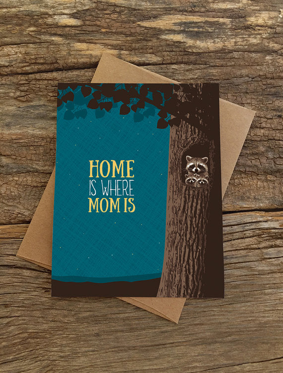 Momma Raccoon Home