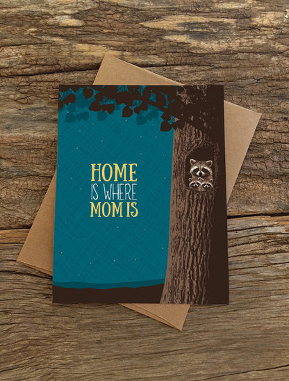 Momma Raccoon Home