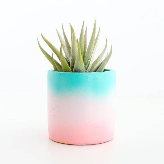 Gradient Cement Planters