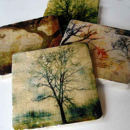 Rooted in Time Coasters // Set of 4