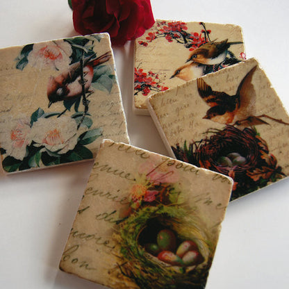 Song Birds Coasters // Set of 4