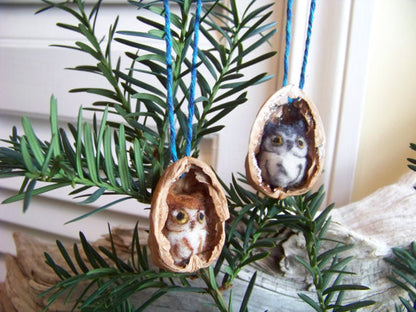 Needle Felted Grey Phase Eastern Screech Owl in Walnut Heirloom Ornament