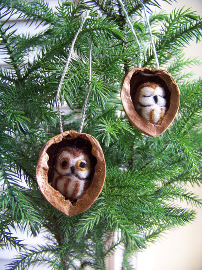 Needle Felted Saw Whet Owl in Walnut Heirloom Ornament