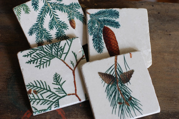 Pine Cones Stone Coasters // Set of 4