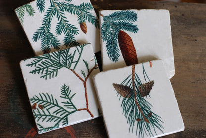 Pine Cones Stone Coasters // Set of 4