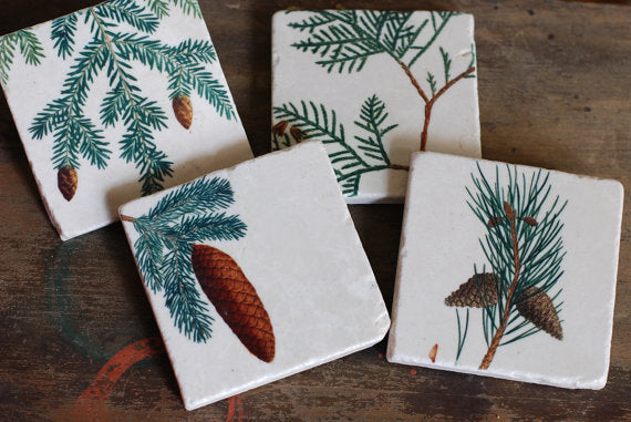 Pine Cones Stone Coasters // Set of 4