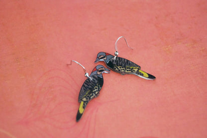 Northern Flicker Studs
