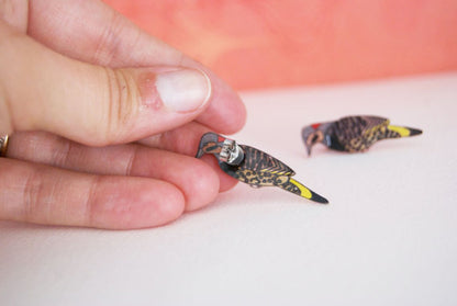 Northern Flicker Studs